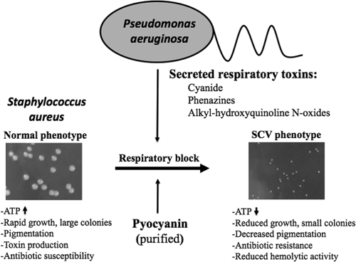 FIG. 4.