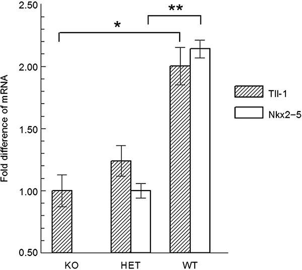 Fig. 6.