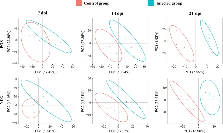 Fig. 1