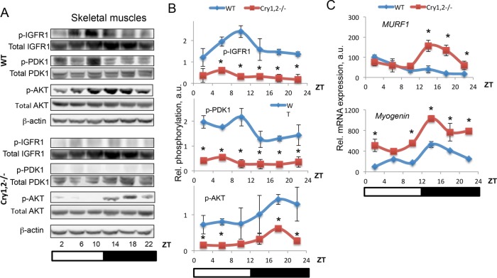 FIGURE 3: