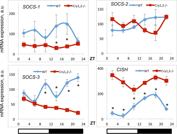 FIGURE 6: