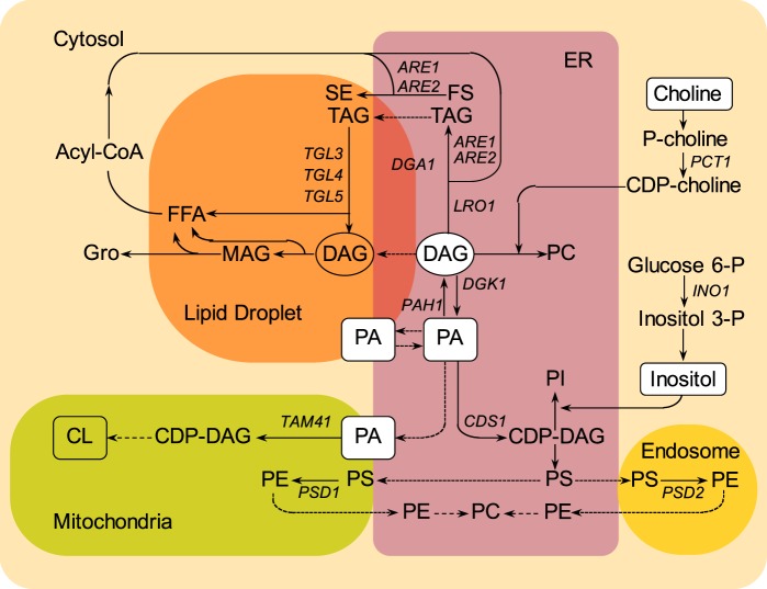 Figure 1.