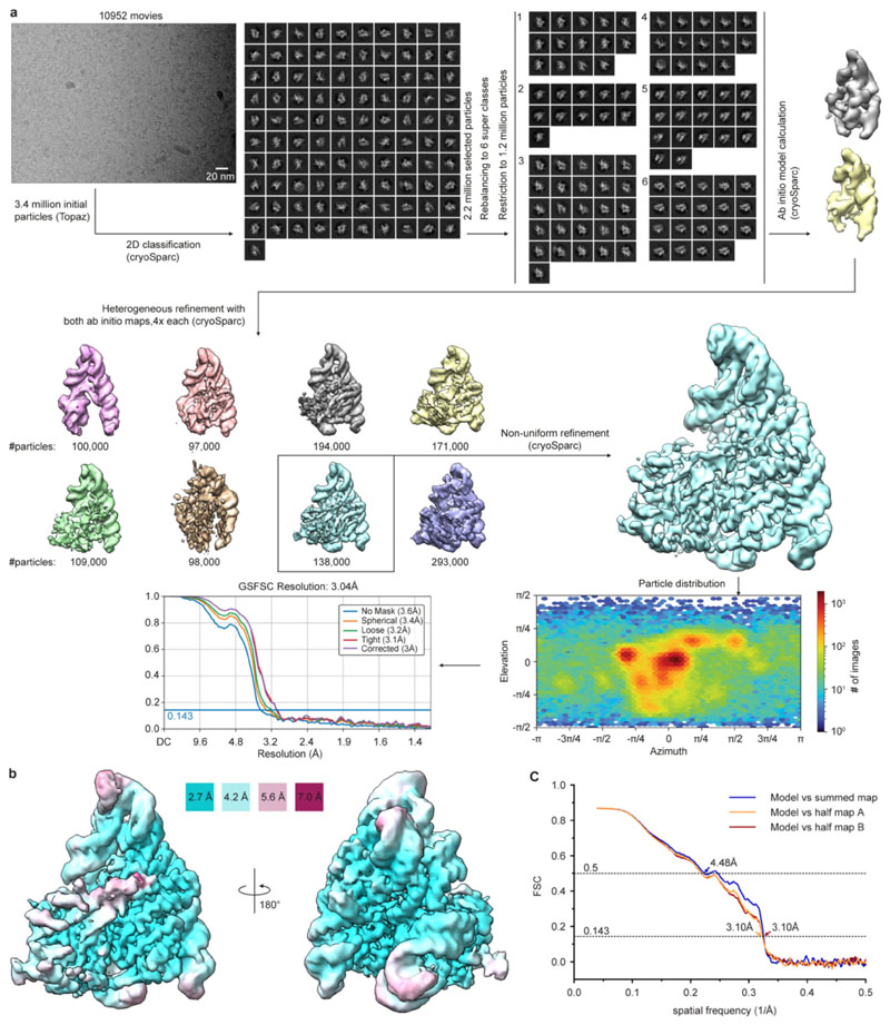 Extended Data Fig. 2