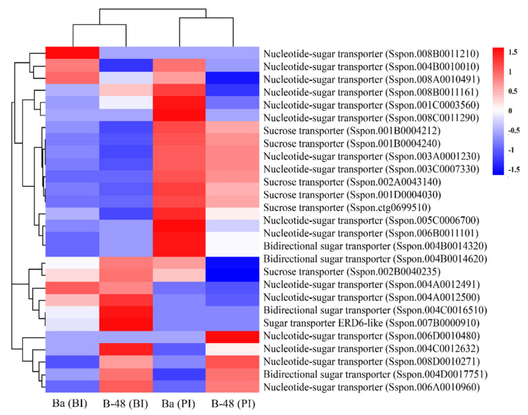 Figure 6