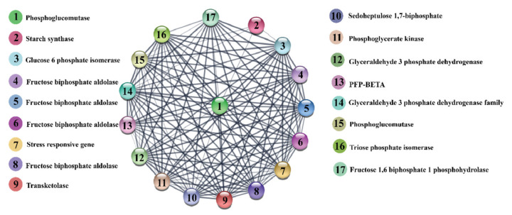 Figure 10