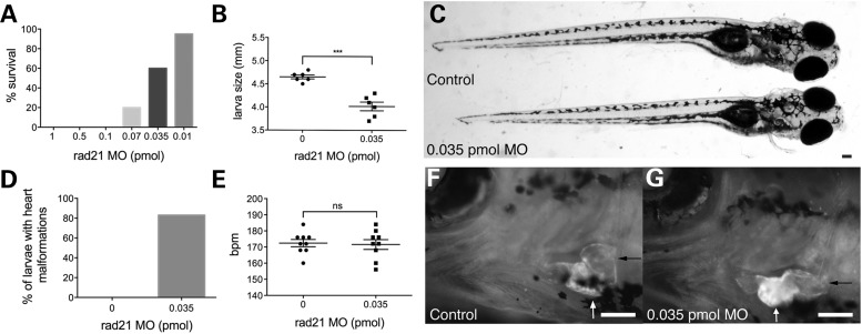 Figure 1.