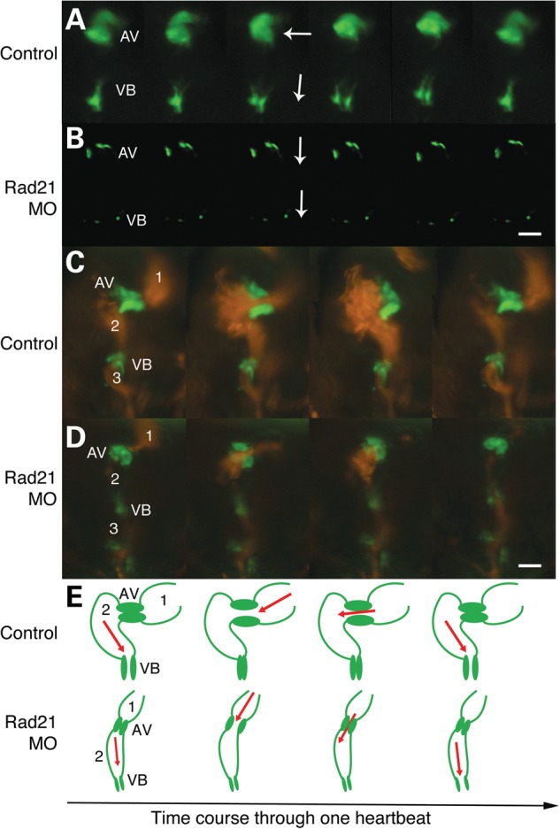 Figure 3.