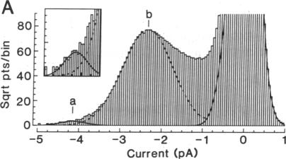 graphic file with name pnas01060-0343-a.jpg