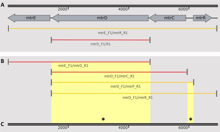 FIG 6 