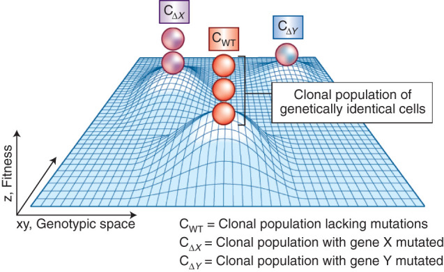 Figure 2.