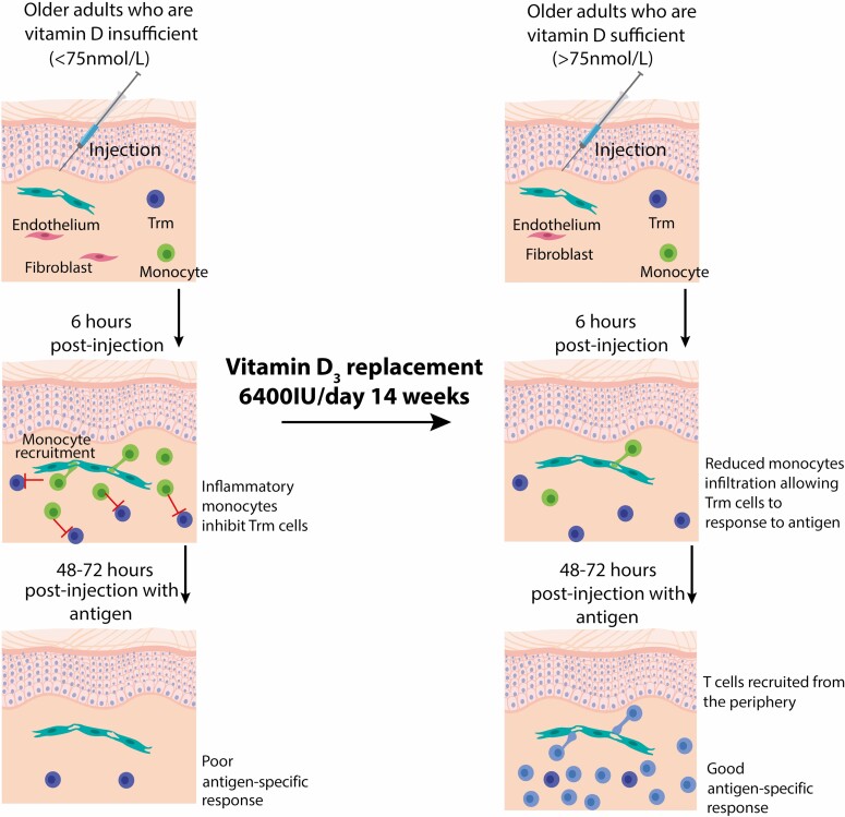 Graphical Abstract