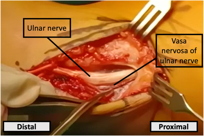 Figure 5