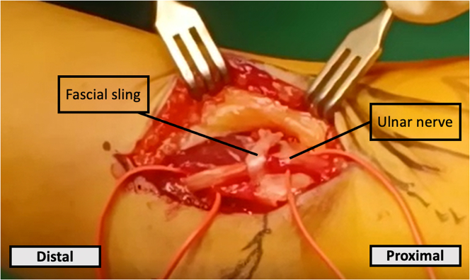 Figure 7