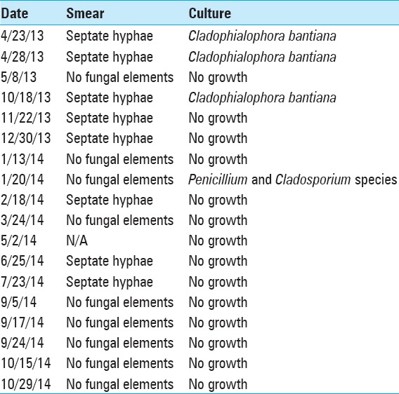 graphic file with name SNI-8-46-g004.jpg