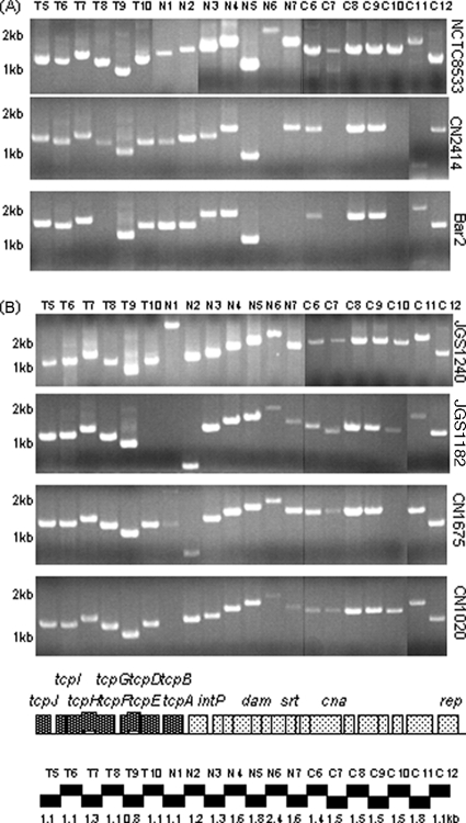 FIG. 4.