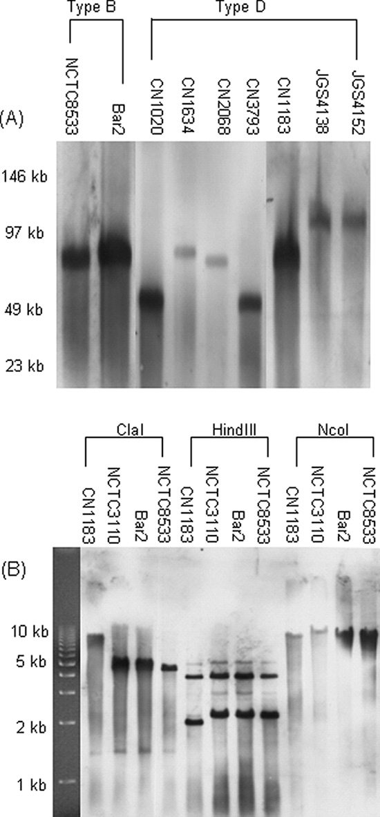 FIG. 1.