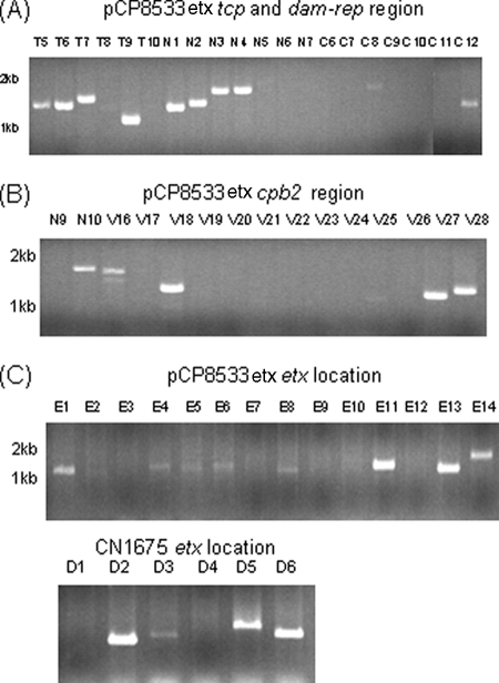 FIG. 7.