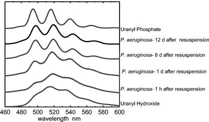 FIG. 7.