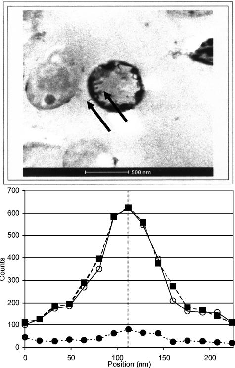 FIG. 6.