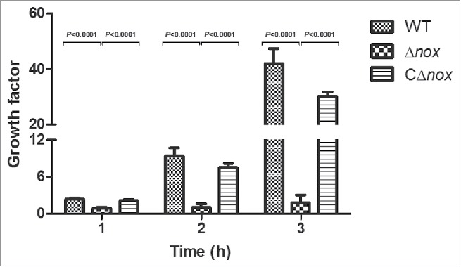 Figure 5.