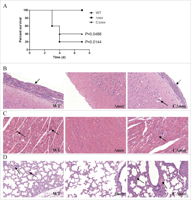 Figure 6.