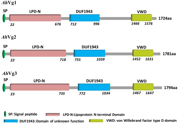 FIGURE 1