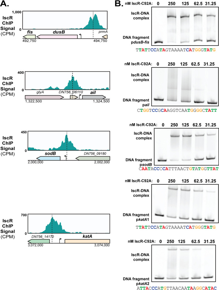 FIG 6