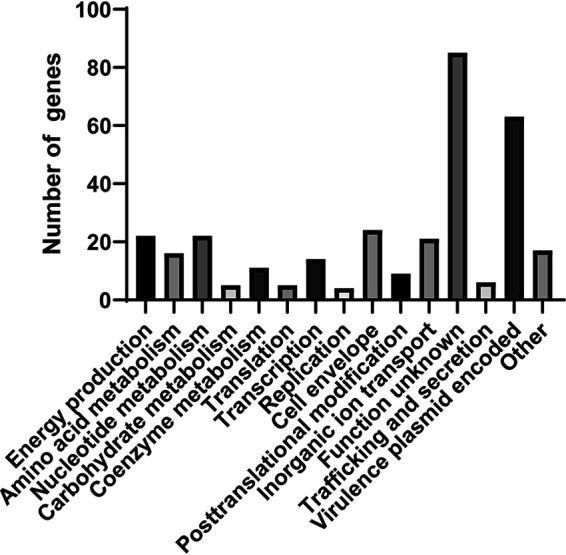 FIG 3