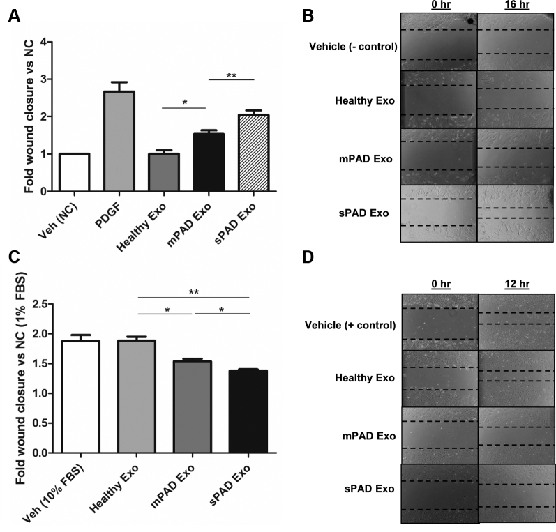 Fig 2