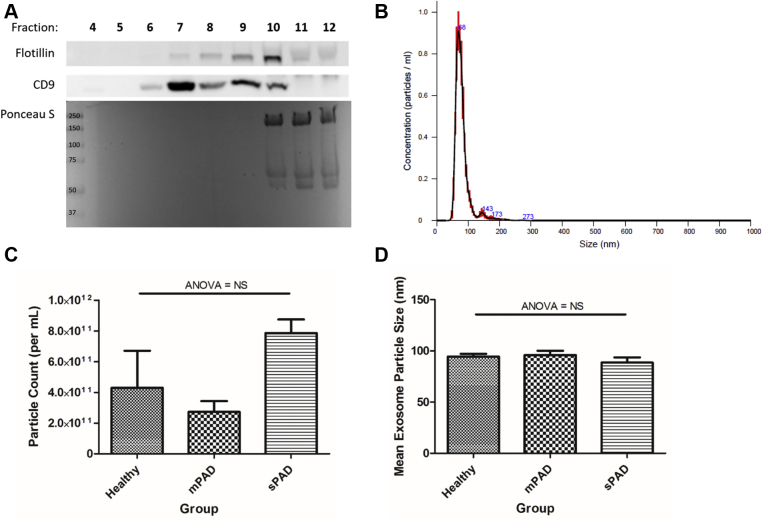 Fig 1