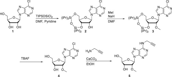 Scheme 4