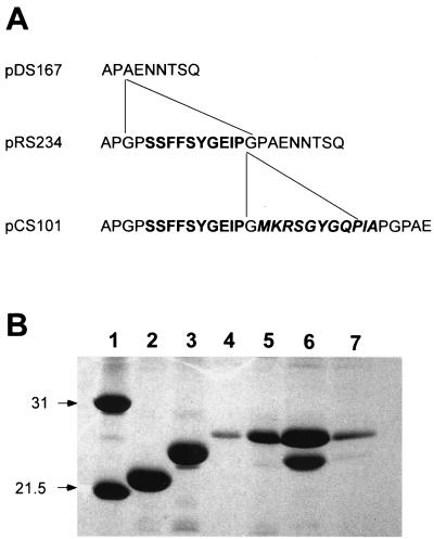 FIG. 5