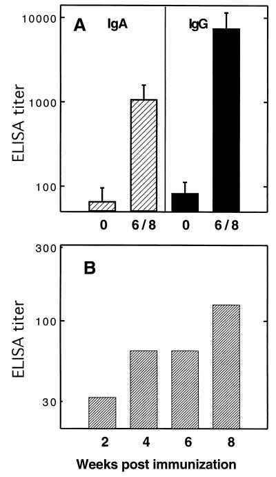 FIG. 6