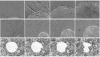 Fig. 3