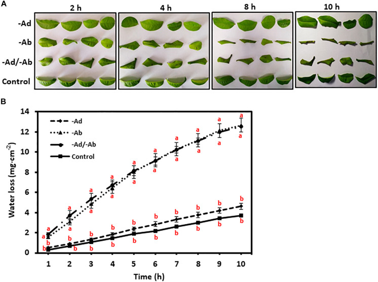 FIGURE 4