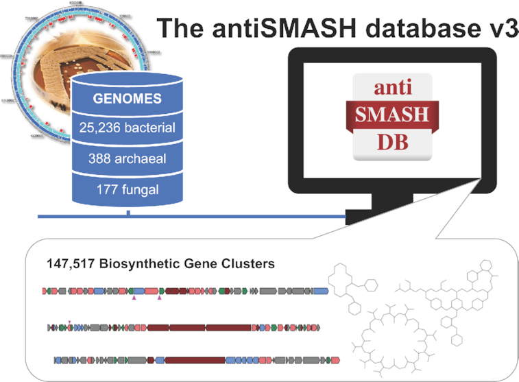 Graphical Abstract