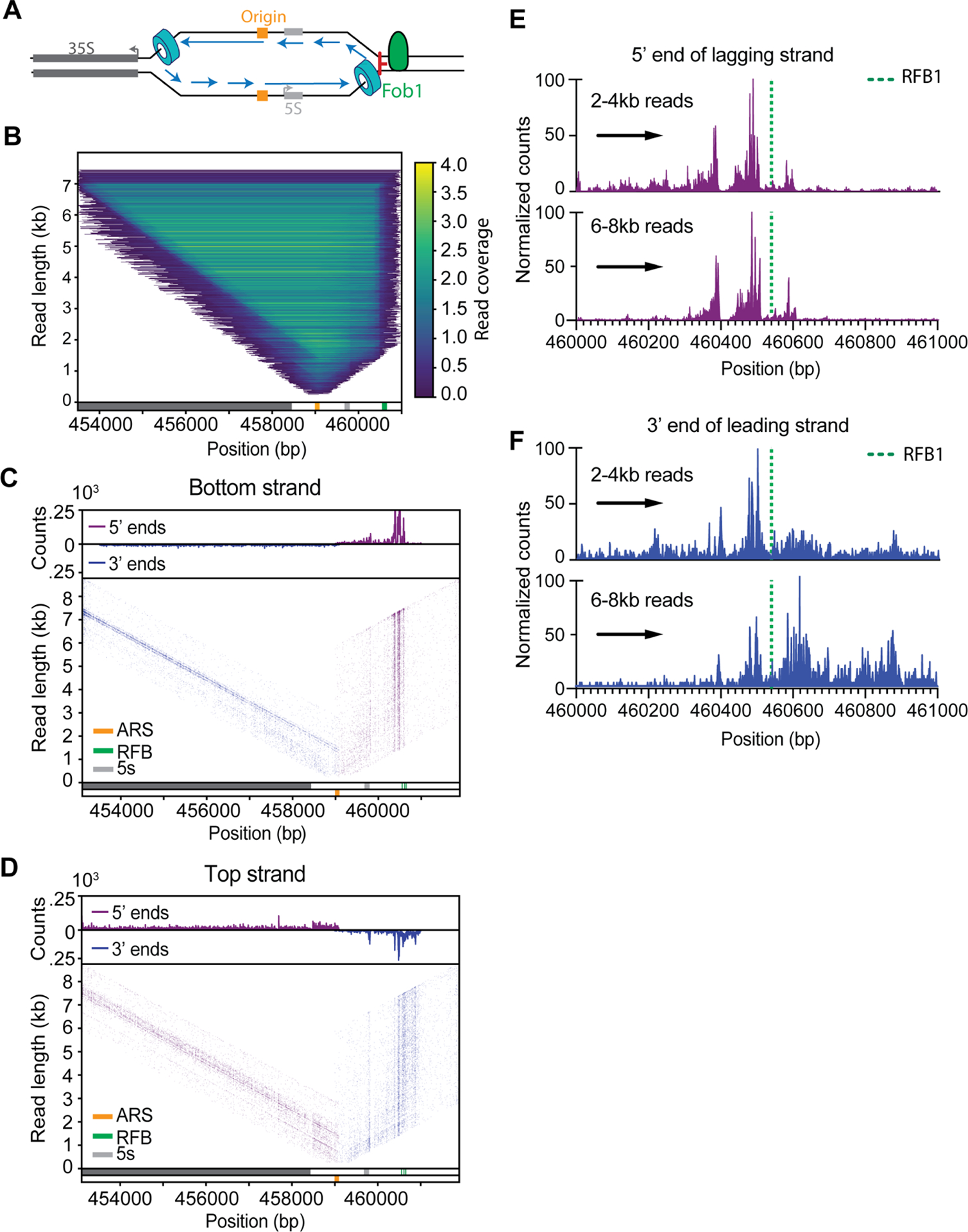 Figure 2: