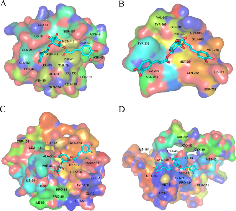 Figure 12