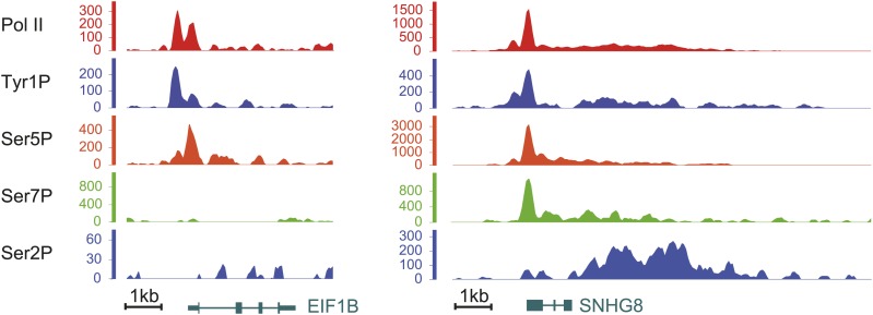 Figure 2—figure supplement 3.