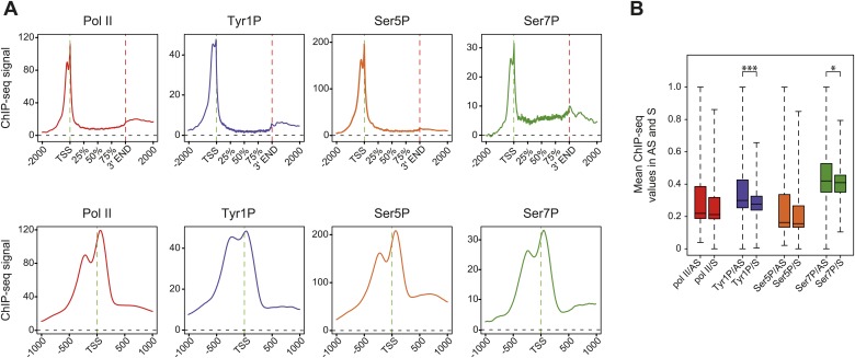 Figure 2—figure supplement 4.