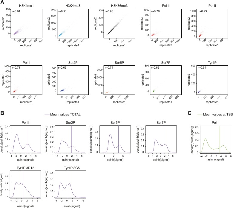 Figure 2—figure supplement 1.