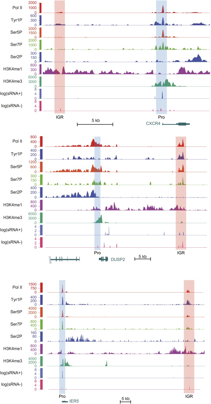 Figure 4—figure supplement 2.