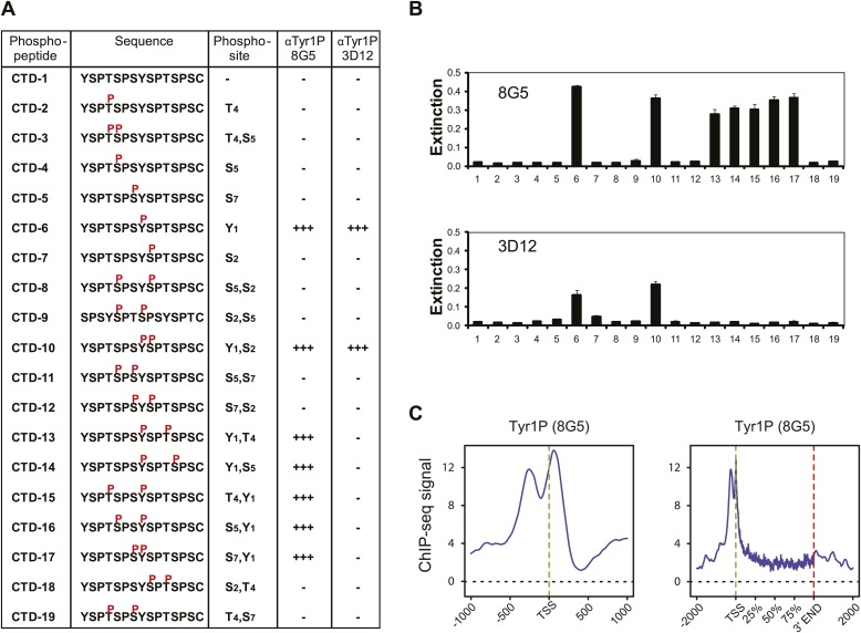 Figure 2—figure supplement 7.