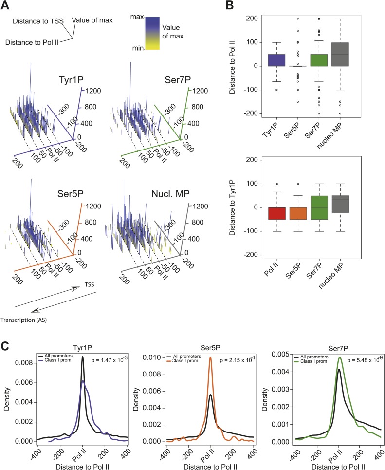 Figure 3—figure supplement 2.