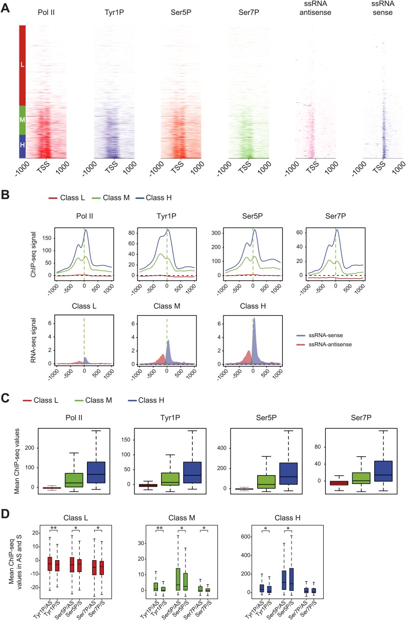 Figure 2—figure supplement 2.