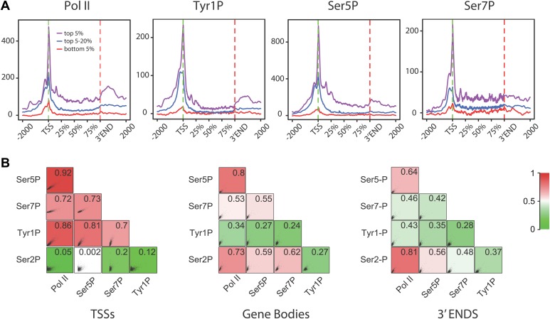 Figure 2—figure supplement 6.