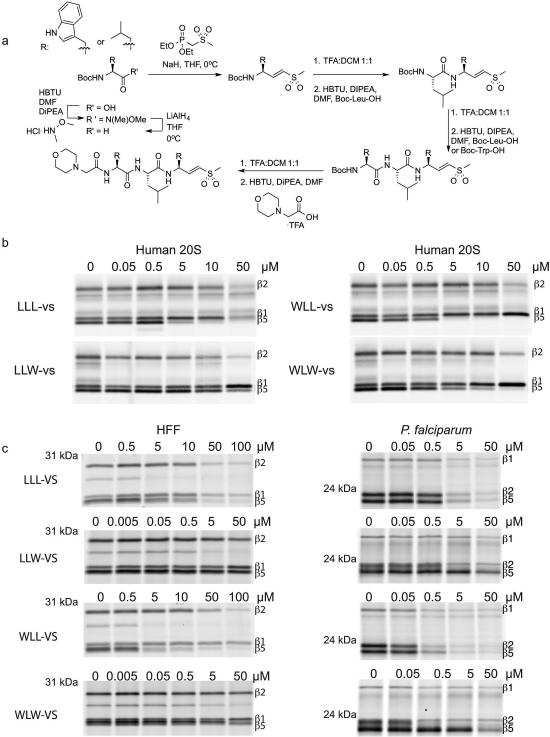 Extended Data Figure 2