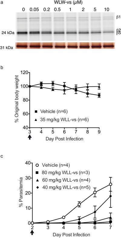 Extended Data Figure 4