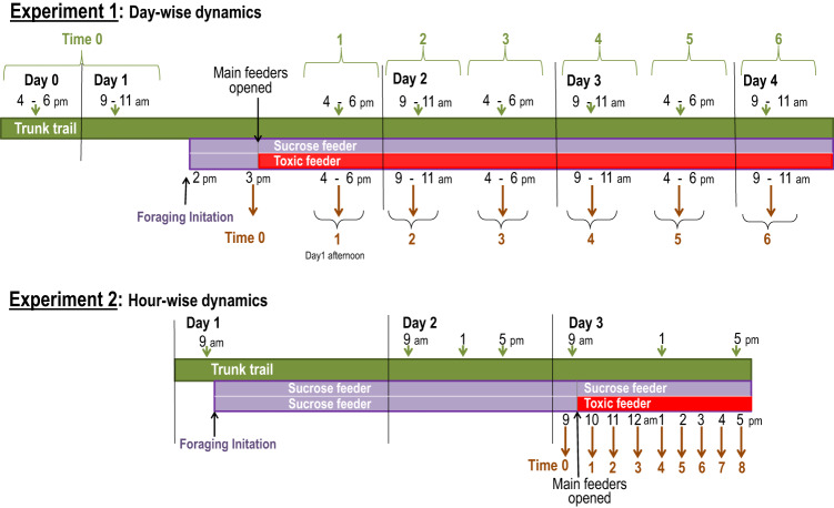 Fig. 6
