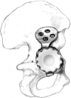 Fig. 3